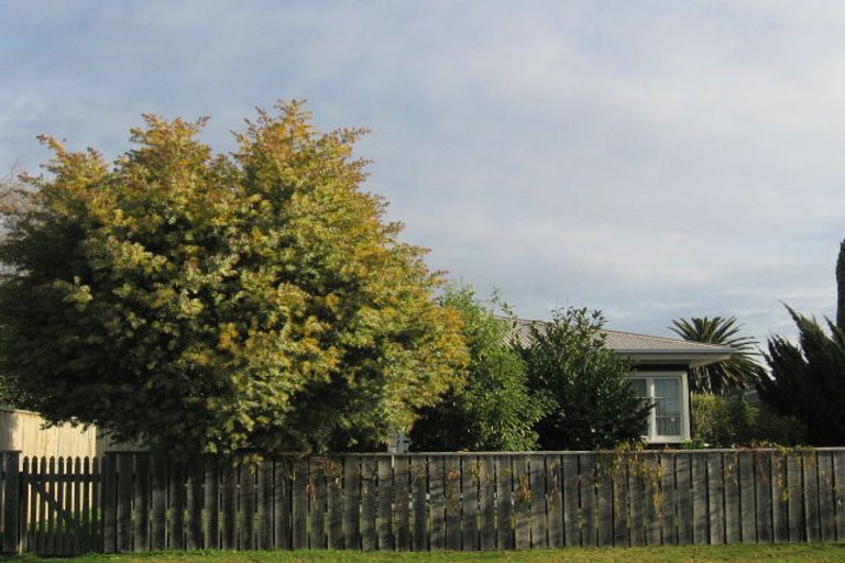 Photo of property in 1010a Rata Street, Mahora, Hastings, 4120