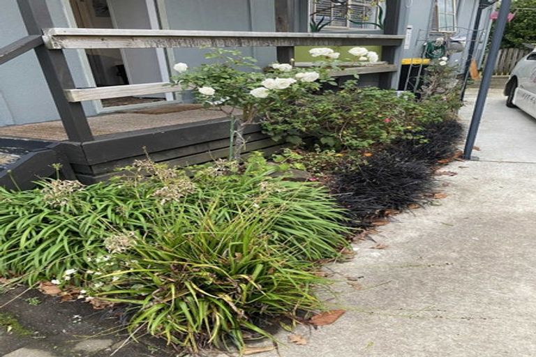 Photo of property in 8a Tauranga Road, Waihi, 3610