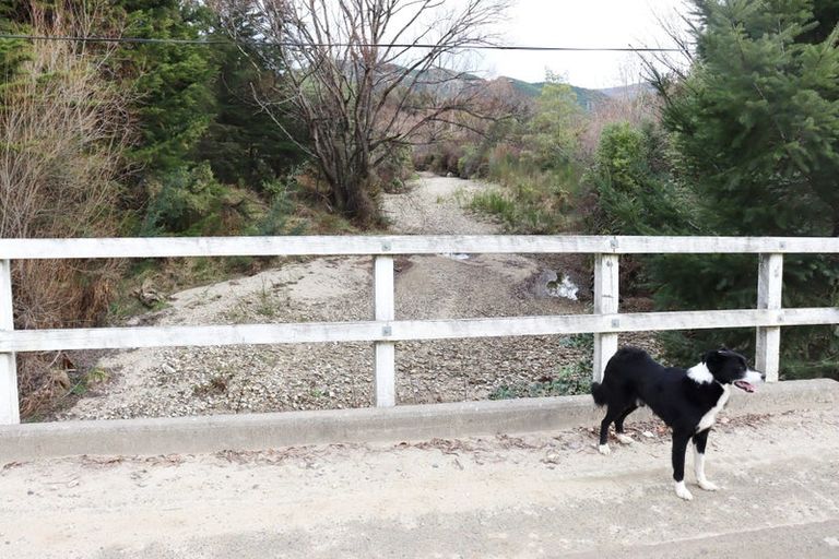 Photo of property in 26 Briggs Road, Onamalutu, Wairau Valley, 7275