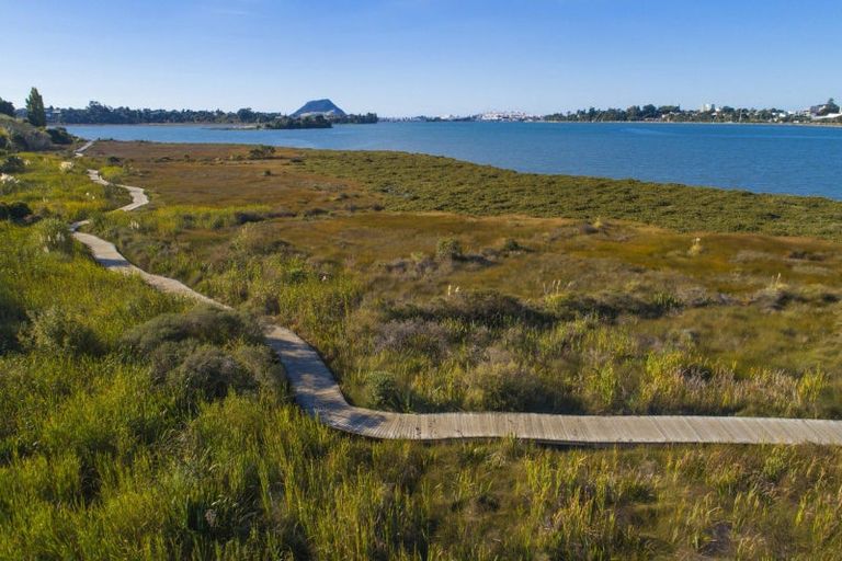 Photo of property in 21a Coach Drive, Otumoetai, Tauranga, 3110