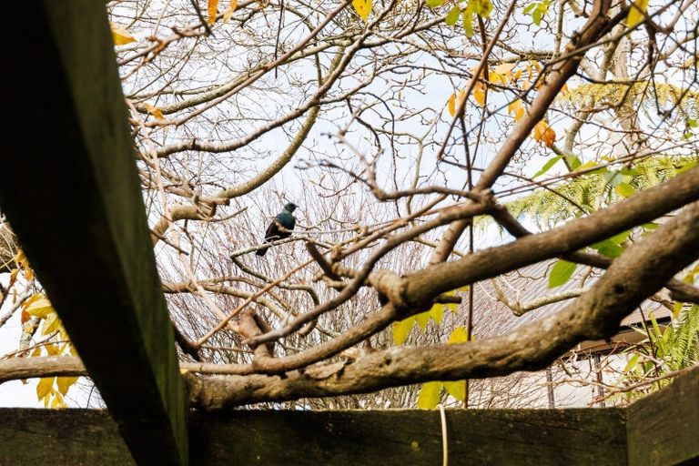 Photo of property in 3 Worsfold Lane, Terrace End, Palmerston North, 4410