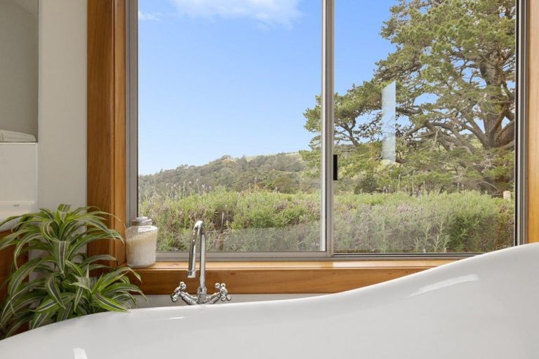 Photo of property in 257f Whakamarama Road, Whakamarama, Tauranga, 3179