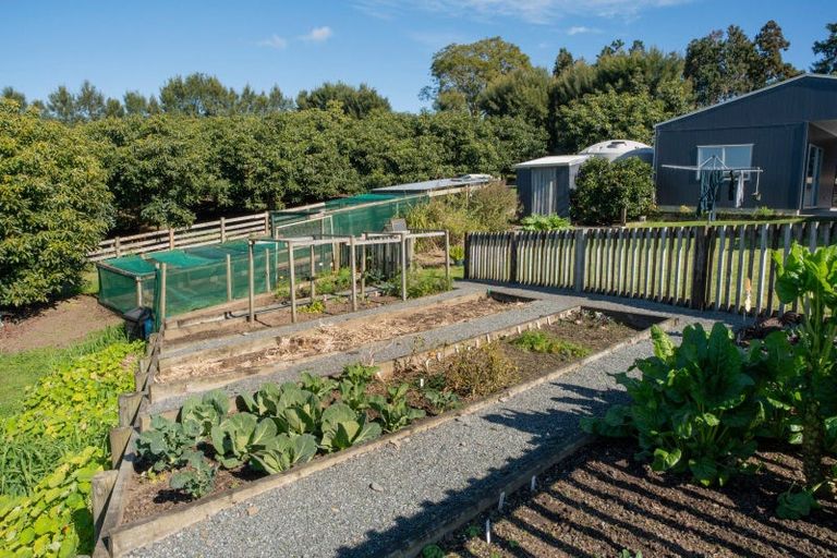 Photo of property in 353 Lockington Road, Aongatete, Katikati, 3181