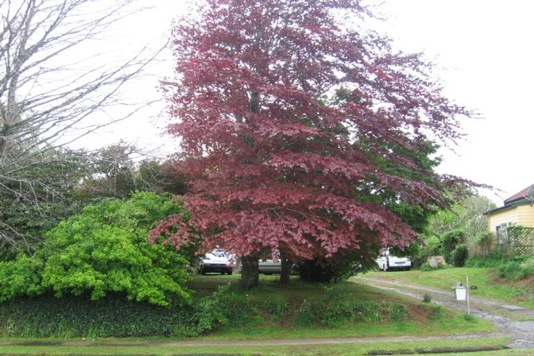 Photo of property in 11 Dobson Street, Waihi, 3610