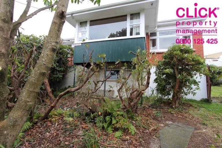 Photo of property in 39 Hall Road, Sawyers Bay, Port Chalmers, 9023