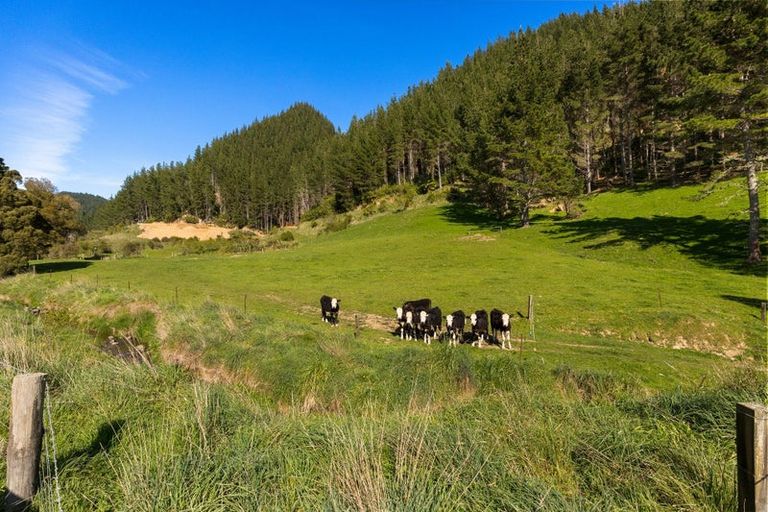 Photo of property in 312 Lud Vly Road, Hira, Nelson, 7071