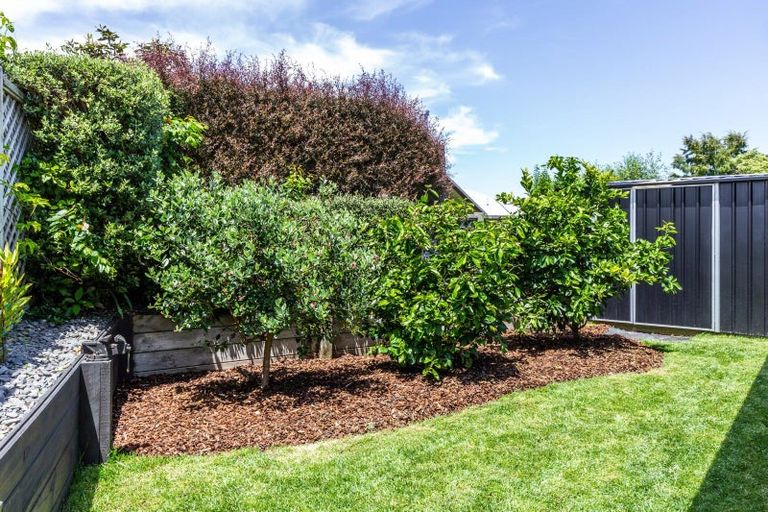 Photo of property in 9 Punawai Place, Nukuhau, Taupo, 3330