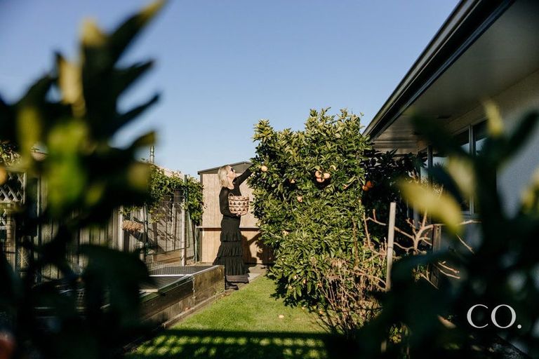 Photo of property in 59b Plateau Heights, Mount Maunganui, 3116