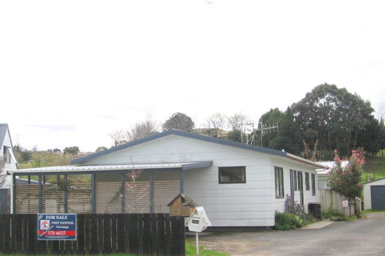 Photo of property in 12b Solomon Street, Brookfield, Tauranga, 3110