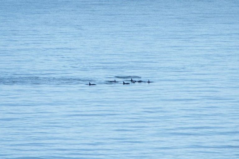 Photo of property in 19 The Crescent, Raumati South, Paraparaumu, 5032