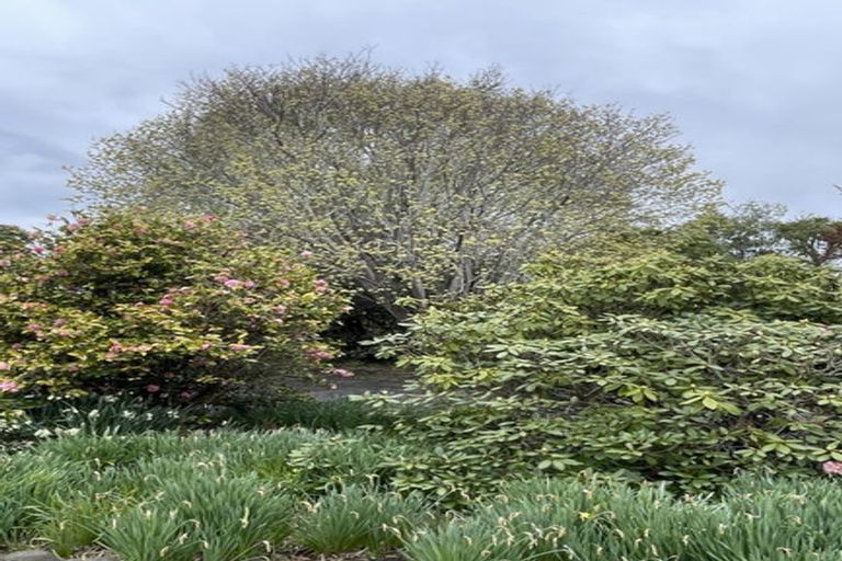 Photo of property in 162 Gladstone Road North, Mosgiel, 9024