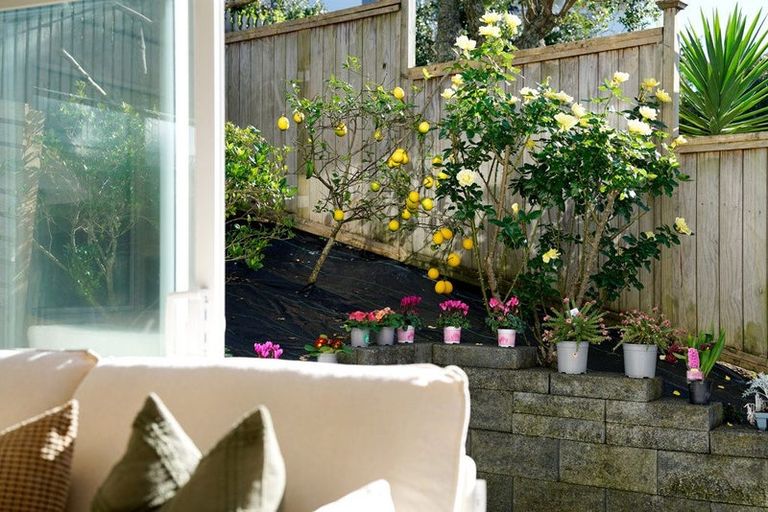 Photo of property in 152a Weatherly Road, Torbay, Auckland, 0630