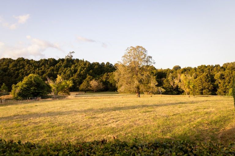Photo of property in 561 Whangaripo Valley Road, Whangaripo, Wellsford, 0972