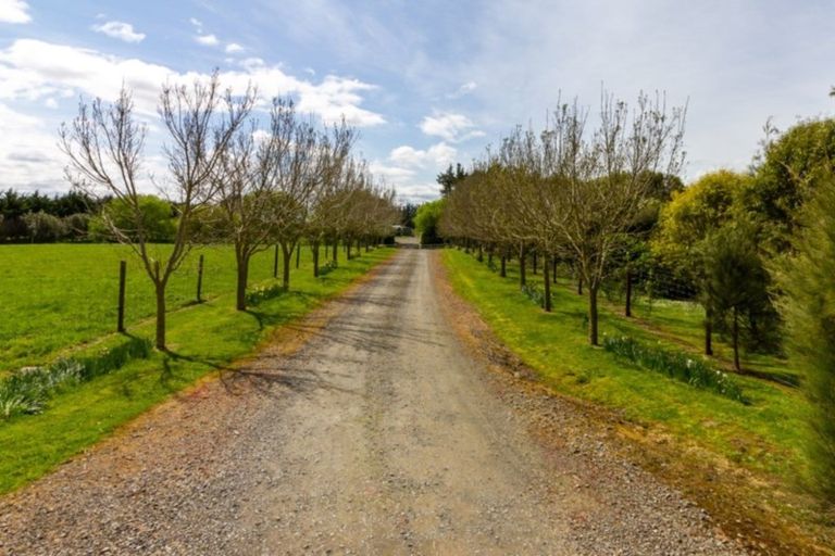 Photo of property in 126 Whitmore Road, Linton, Palmerston North, 4472