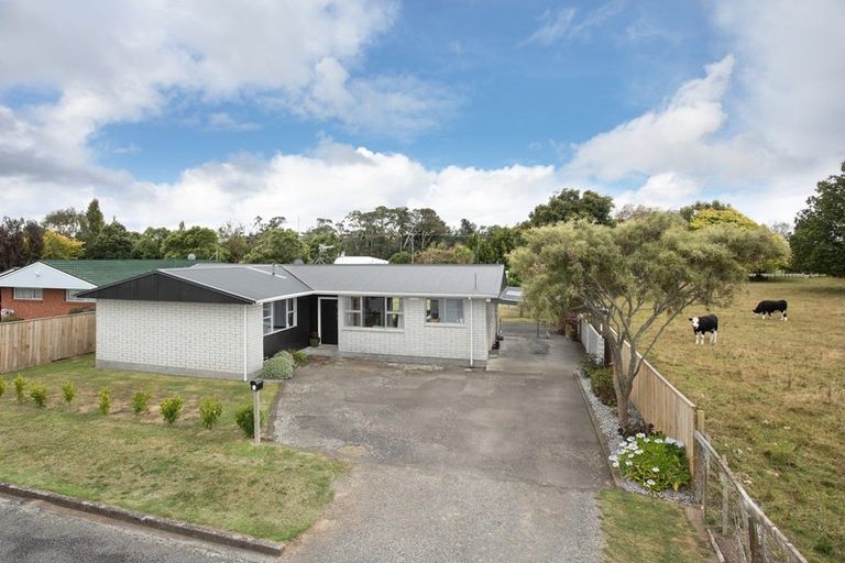 Photo of property in 9 Dalrymple Place, Marton, 4710