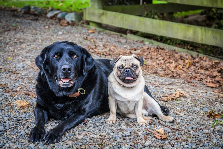 Photo of property in 72 Kuku Road, Pohangina, Ashhurst, 4884