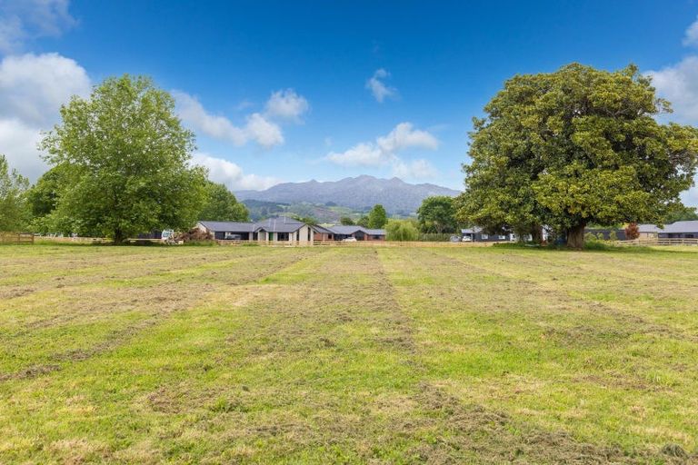 Photo of property in 800 Collinson Street, Pirongia, 3802