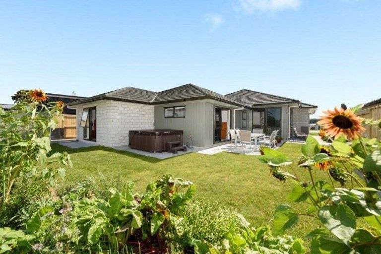 Photo of property in 8 Omapere Lane, Pyes Pa, Tauranga, 3112