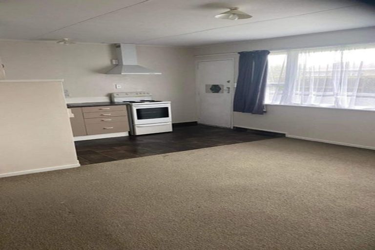 Photo of property in 14-16 Mako Mako Road, Levin, 5510