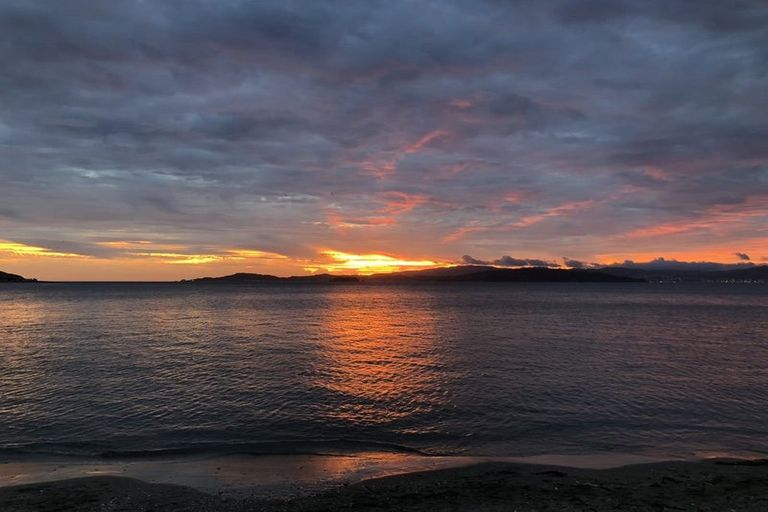 Photo of property in 616a Marine Drive, Days Bay, Lower Hutt, 5013