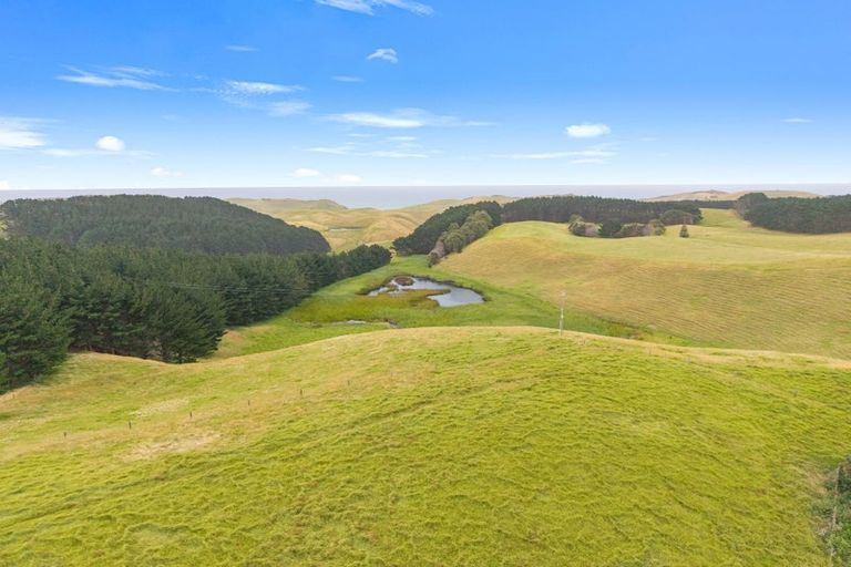 Photo of property in 1265 Babylon Coast Road, Omamari, Dargaville, 0373