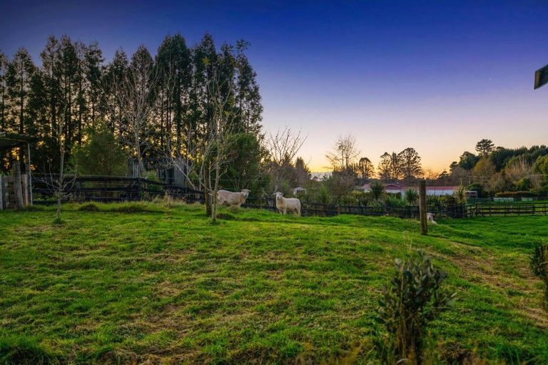 Photo of property in 14 Old State Mill Road, Mamaku, 3020