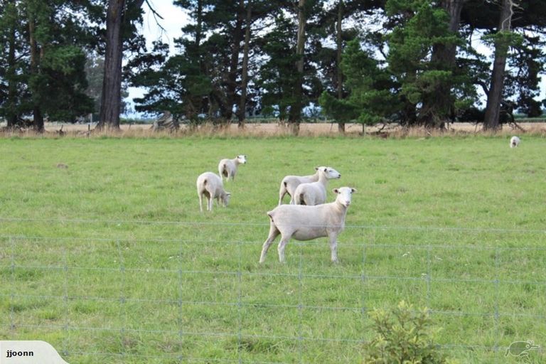 Photo of property in 1504 Courtenay Road, Kirwee, Darfield, 7671