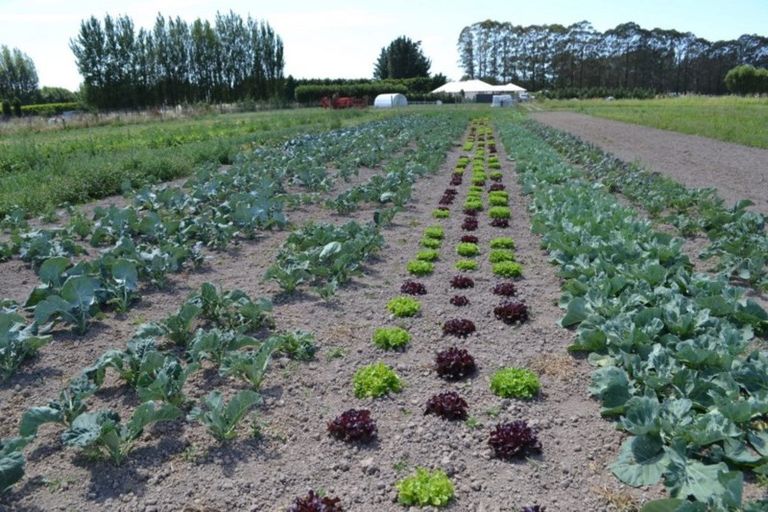 Photo of property in 80 Waikoruru Road, Tuahiwi, Kaiapoi, 7691