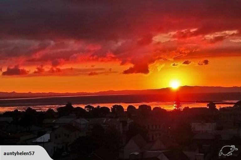 Photo of property in 103 Campbell Street, Thames, 3500