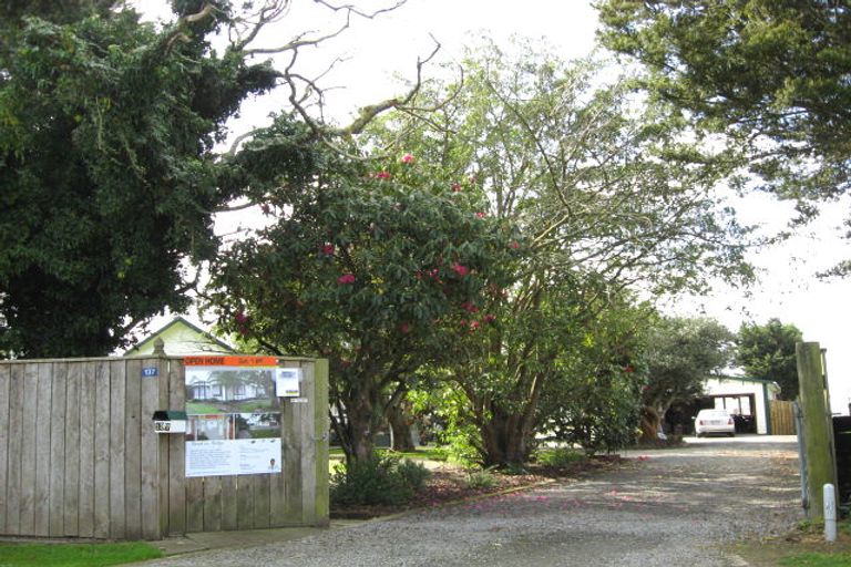 Photo of property in 137 Roslyn Road, Levin, 5510