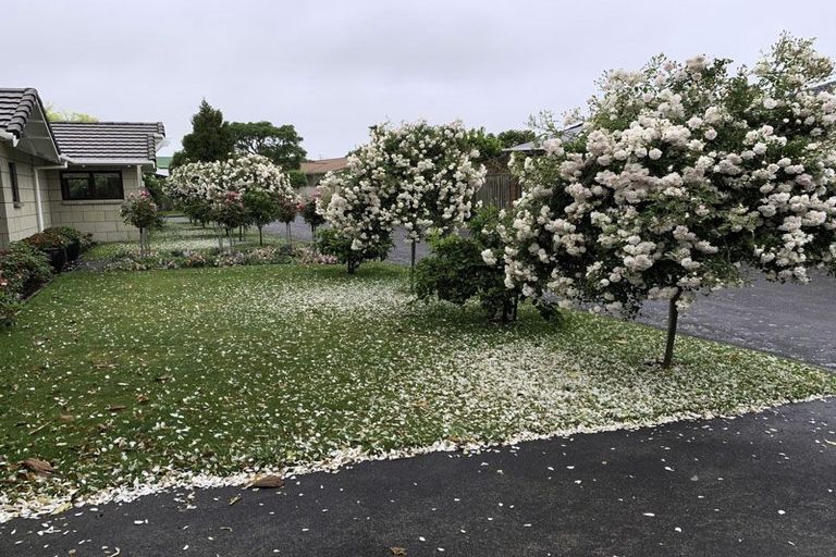 Photo of property in 10 Kinross Drive, Merrilands, New Plymouth, 4312