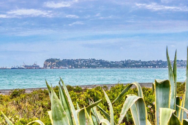 Photo of property in 1/382 Main Road North, Bay View, Napier, 4104