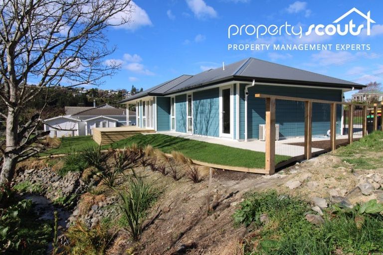 Photo of property in 42 Glenelg Street, Bradford, Dunedin, 9011