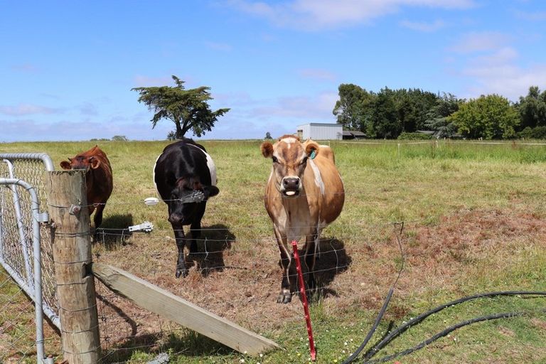 Photo of property in 251 Drysdale Road, Myross Bush, Invercargill, 9872