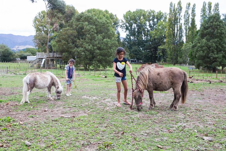 Photo of property in 72 Kuku Road, Pohangina, Ashhurst, 4884