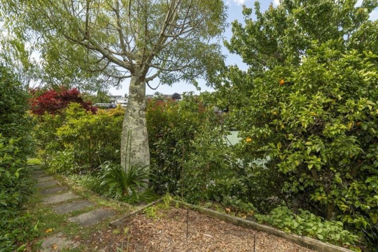 Photo of property in 19a Omokoroa Road, Omokoroa, 3114