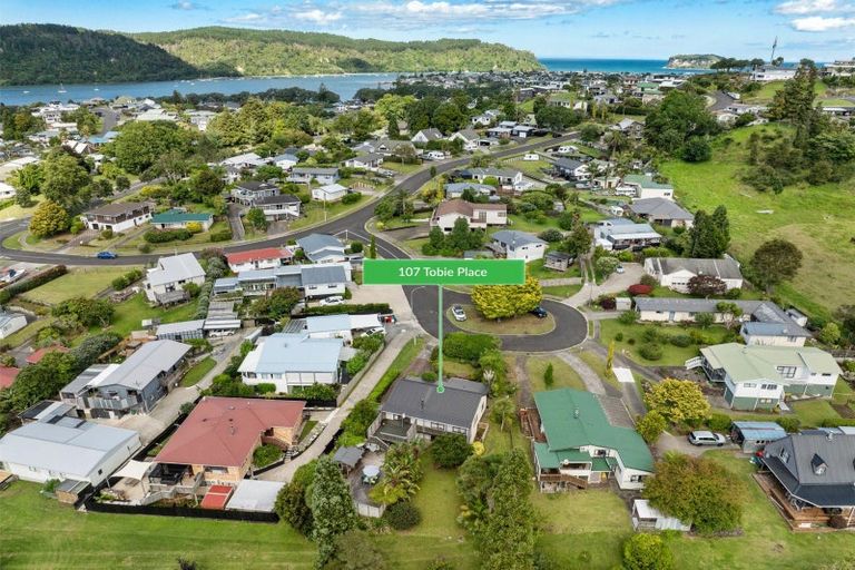 Photo of property in 107 Tobie Place, Whangamata, 3620