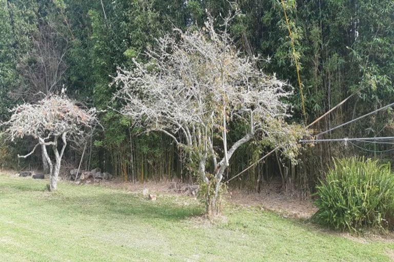 Photo of property in 11 Omapere Road, Kaikohe, 0405