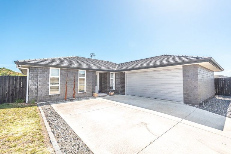 Photo of property in 55 Magnolia Crescent, Tawhero, Whanganui, 4501