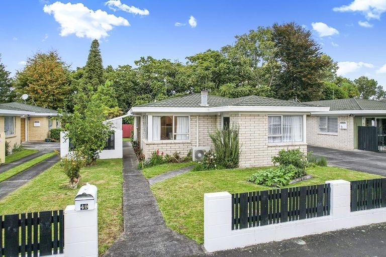 Photo of property in 49 Rimu Street, Maeroa, Hamilton, 3200