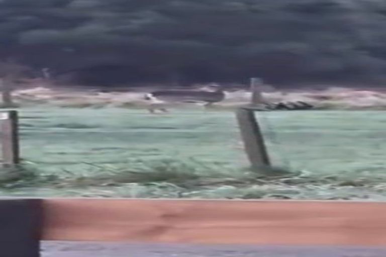 Photo of property in 1409 Pack Spur Road, Mataikona, Tinui, 5889