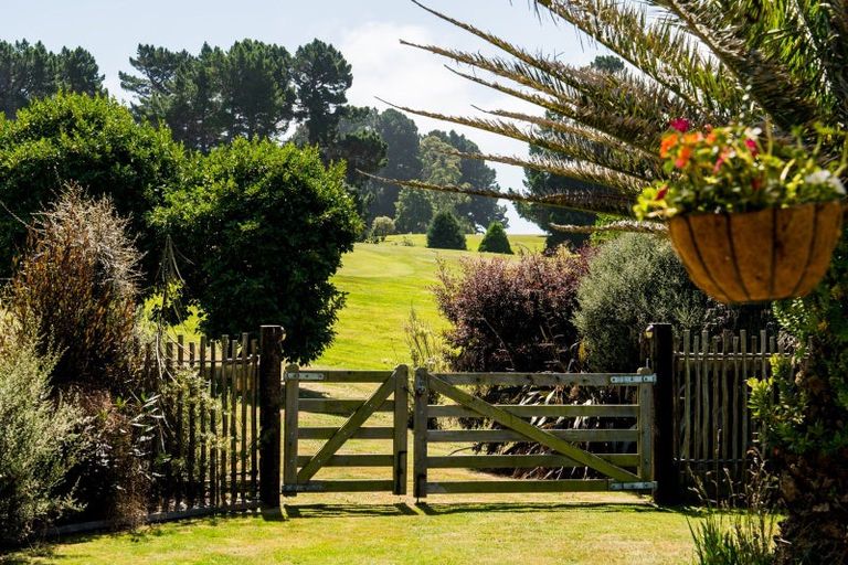 Photo of property in 14 Highgrove, Saint Clair, Dunedin, 9012