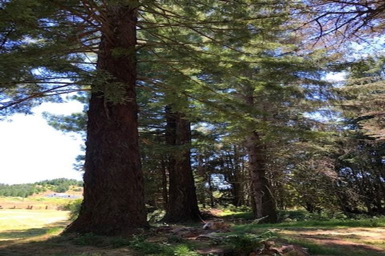 Photo of property in 1621 Kanakanaia Road, Whatatutu, Te Karaka, 4091