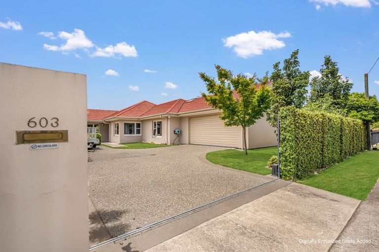 Photo of property in 603 Fitzroy Avenue, Mahora, Hastings, 4120