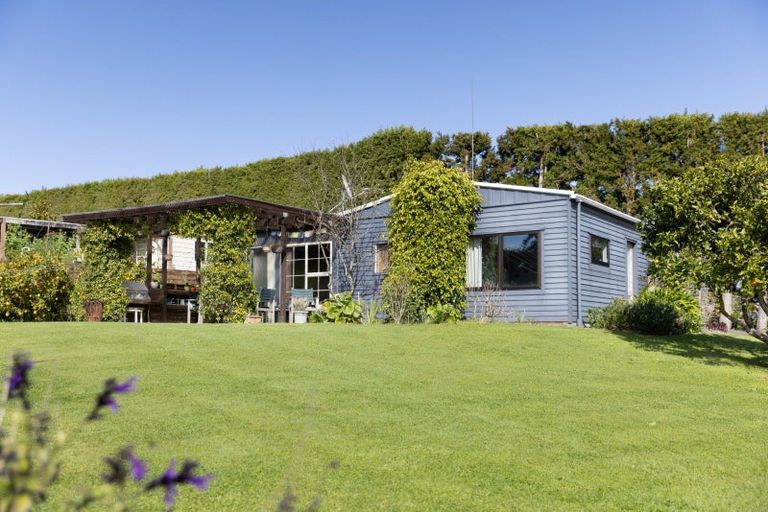 Photo of property in 252 Whakamarama Road, Whakamarama, Tauranga, 3179