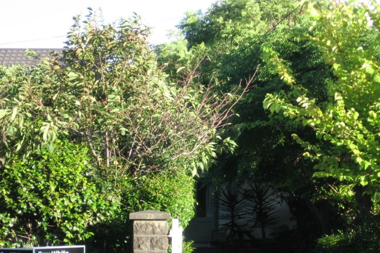 Photo of property in 15 Asquith Avenue, Mount Albert, Auckland, 1025