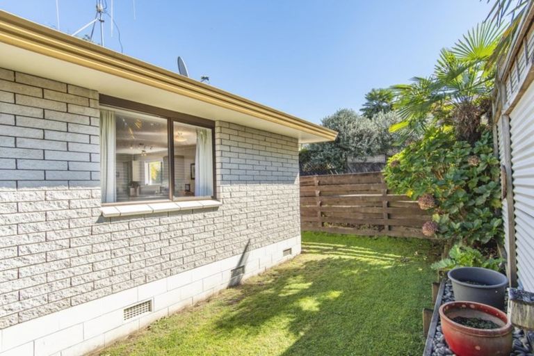 Photo of property in 207a Edgecumbe Road, Tauranga South, Tauranga, 3112