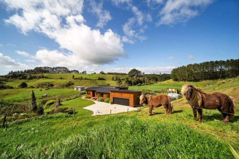 Photo of property in 63a Saxton Road, Upper Vogeltown, New Plymouth, 4371