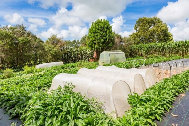 Photo of property in 68 Whakataha Road, Waimate North, Kaikohe, 0472