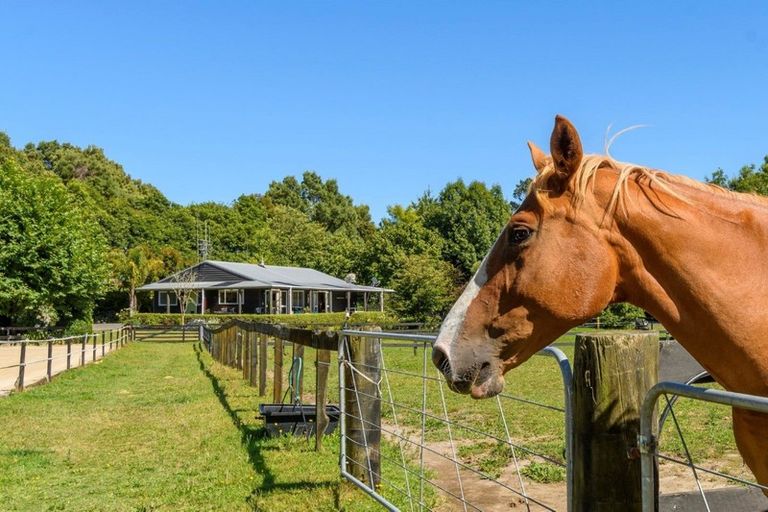 Photo of property in 1021 Omanawa Road, Omanawa, Tauranga, 3171